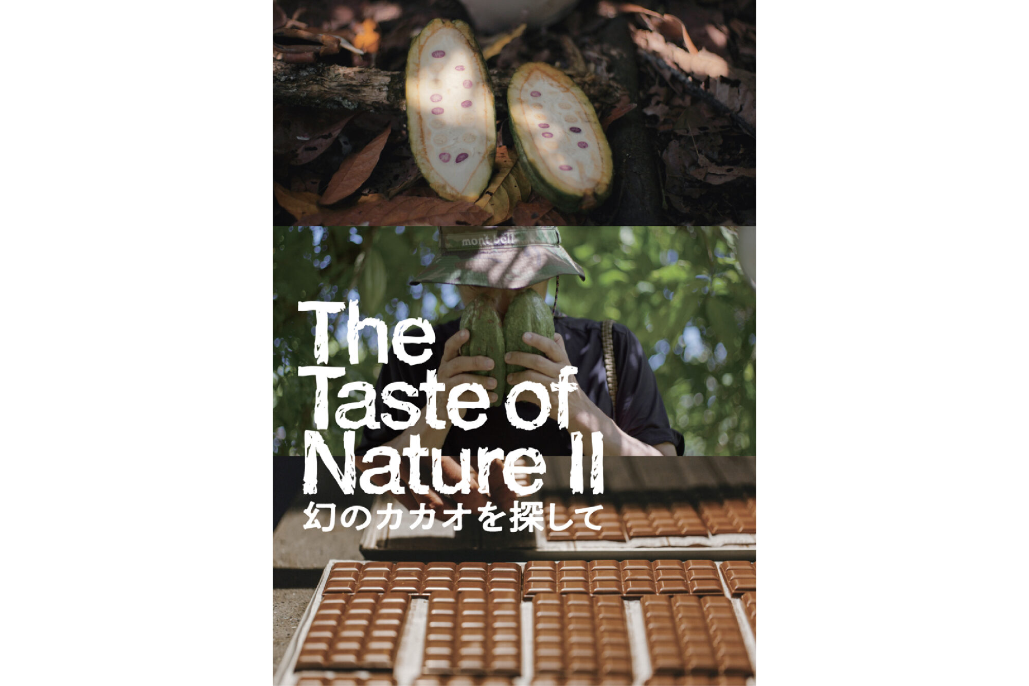 『The Taste of Nature II』12月6日配信決定