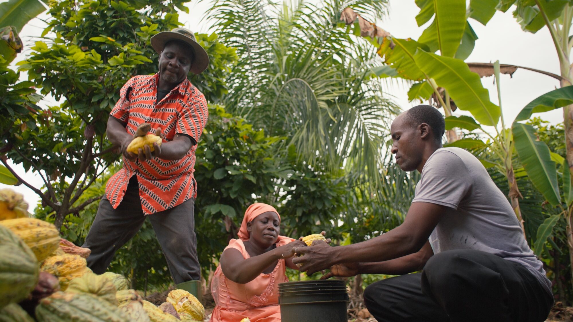 『The Taste of Nature II』12月6日配信決定